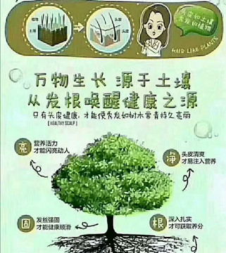 秀丝顿湖南植物养发馆问题提示春天来了，是养发的黄金阶段​