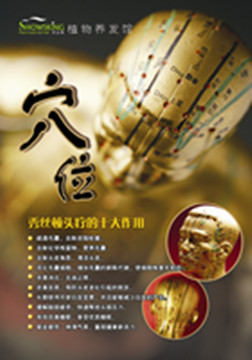 秀丝顿江苏植物养发馆温馨提示头疗的好处
