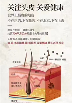 秀丝顿青岛植物养发馆告诉你秀丝顿精油全息头疗的好处