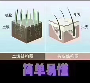 运用双手的指腹按揉头皮