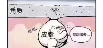 头发是没有生命力的