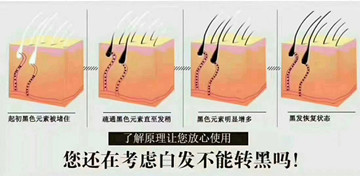 秀丝顿，安全、健康的头发养护专家