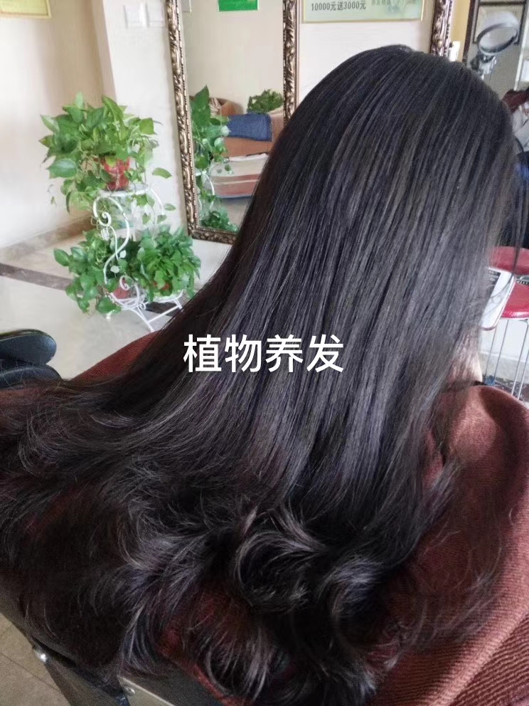 植物养发馆头皮养护理疗