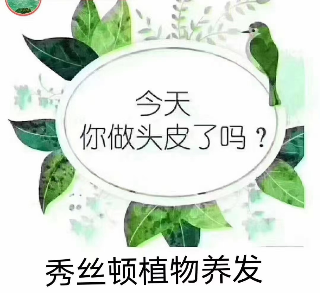 头皮环境调理机构