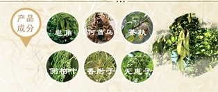 秀丝顿纯植物养发，为你的健康保驾护航，