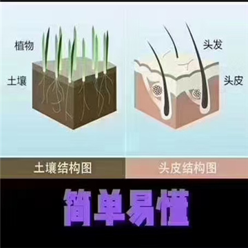 秀丝顿植物养发馆的品牌优势