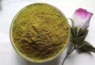 秀丝顿植物染发粉的特点