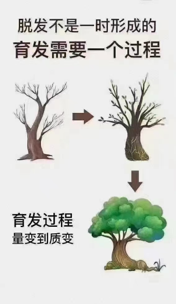 养发最大的忌讳