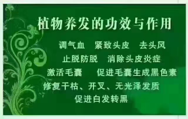 头发、头皮、大脑