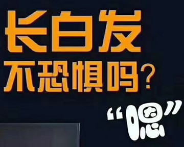 专业健发，财富生活。认准秀丝顿植物养发馆！