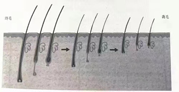 纳客有道，秀丝顿教你如何拓客？