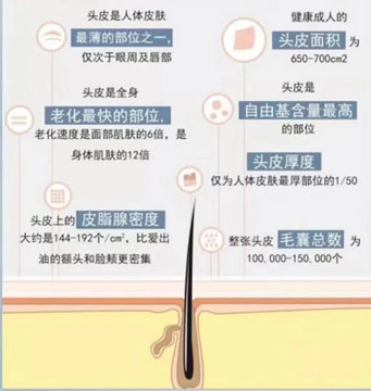 秀丝顿植物养发馆竞争优势