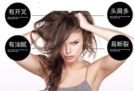 秀丝顿植物养发馆的头疗作用！