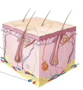 国内染发业的“新星”