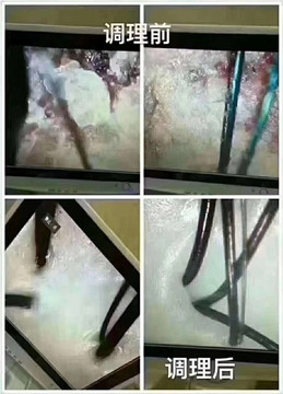 流传千年至今的纯植物染发——劳森海娜染发法