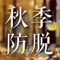 立秋之后，毛囊需要更多营养