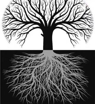 白发分为先天性和后天性