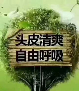 为什么没有毛囊生长不了头发？