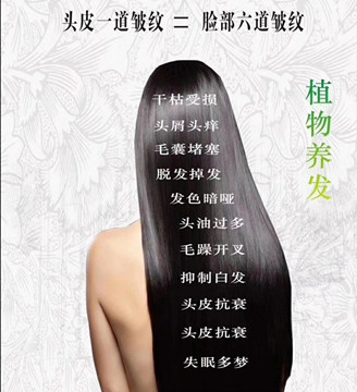 真正的植物养发 没有刺鼻的气味