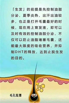 白发转黑基本原理