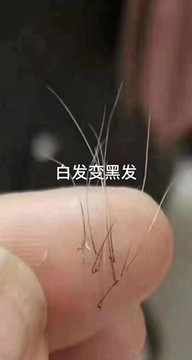 【谁与争锋】秀丝顿诚信引领市场