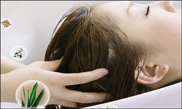 头疗对人体健康的价值和意义