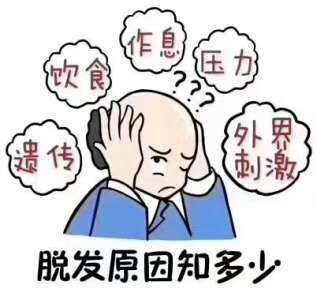 治疗脱发我们应该在意的养生之道