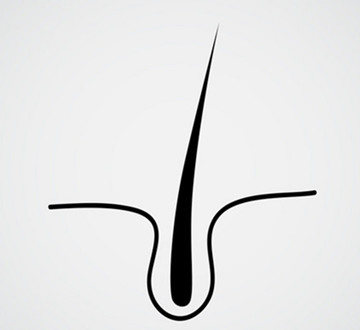 化学染发导致毛囊萎缩，秀丝顿安全可靠