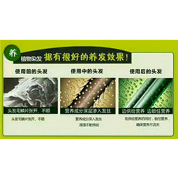 秀丝顿植物养发馆