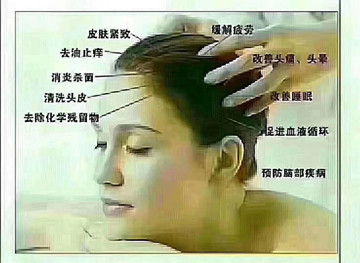 秀丝顿郑州植物养发馆温馨提示头皮护理将是今后养发趋势