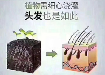 秀丝顿保定植物养发馆温馨提示想拥有让人心动而又健康的秀发首先要从防脱发开始