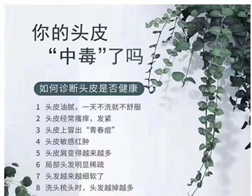 秀丝顿植物养发馆之中年人要预防白发增多？