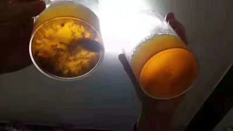 秀丝顿植物养发馆加盟之之头发为什么会有不同的颜色？